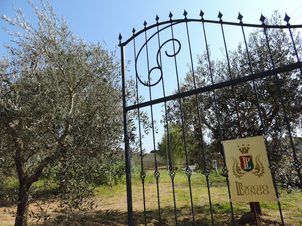 Poggio Lungo Pension Grosseto Buitenkant foto